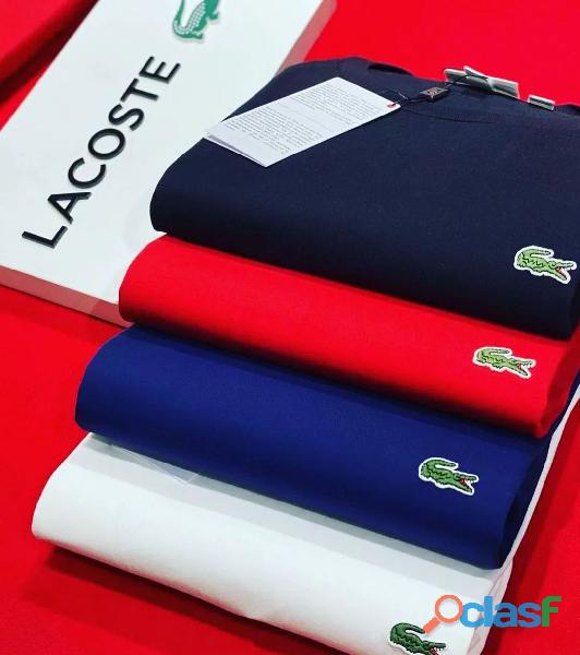 🔥Kit 5 Camisas Lacoste +3 Cuecas  Brinde   OFERTA SOMENTE HOJE